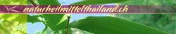 banner nhmt 250px